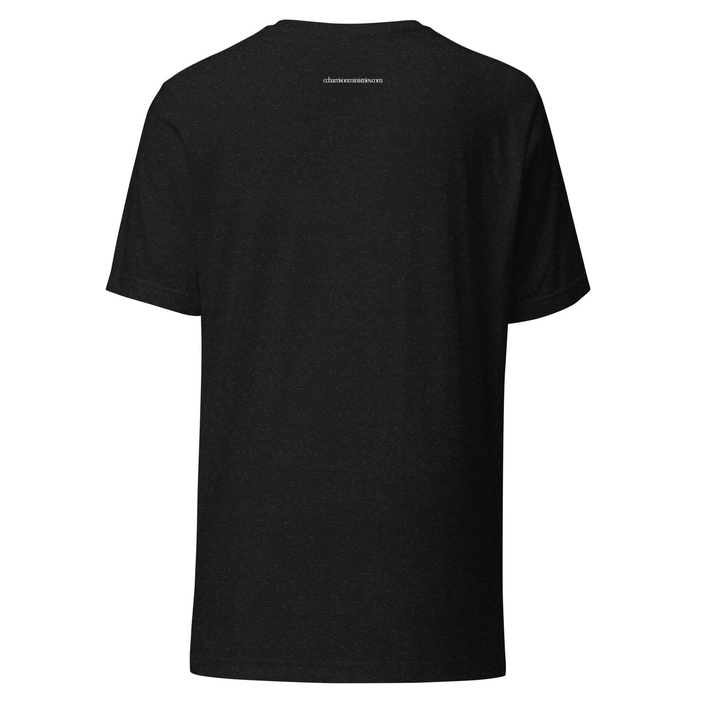P5 Unisex t-shirt