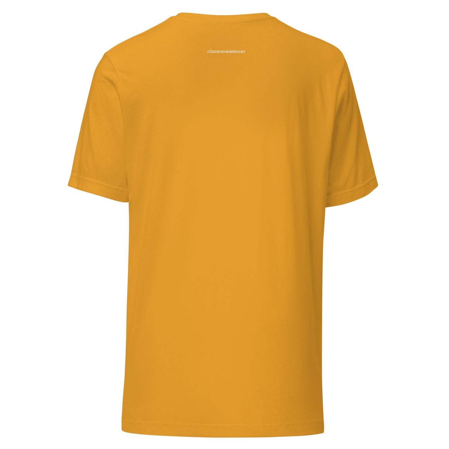 P5 Unisex t-shirt