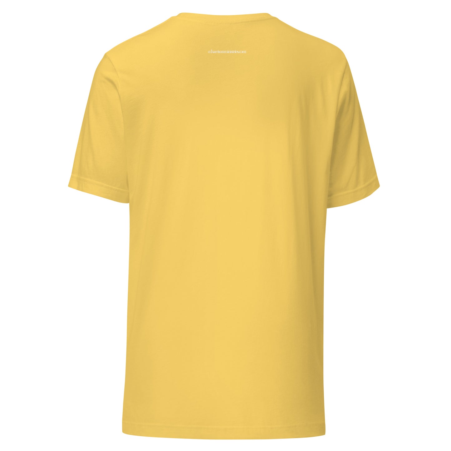 P5 Unisex t-shirt