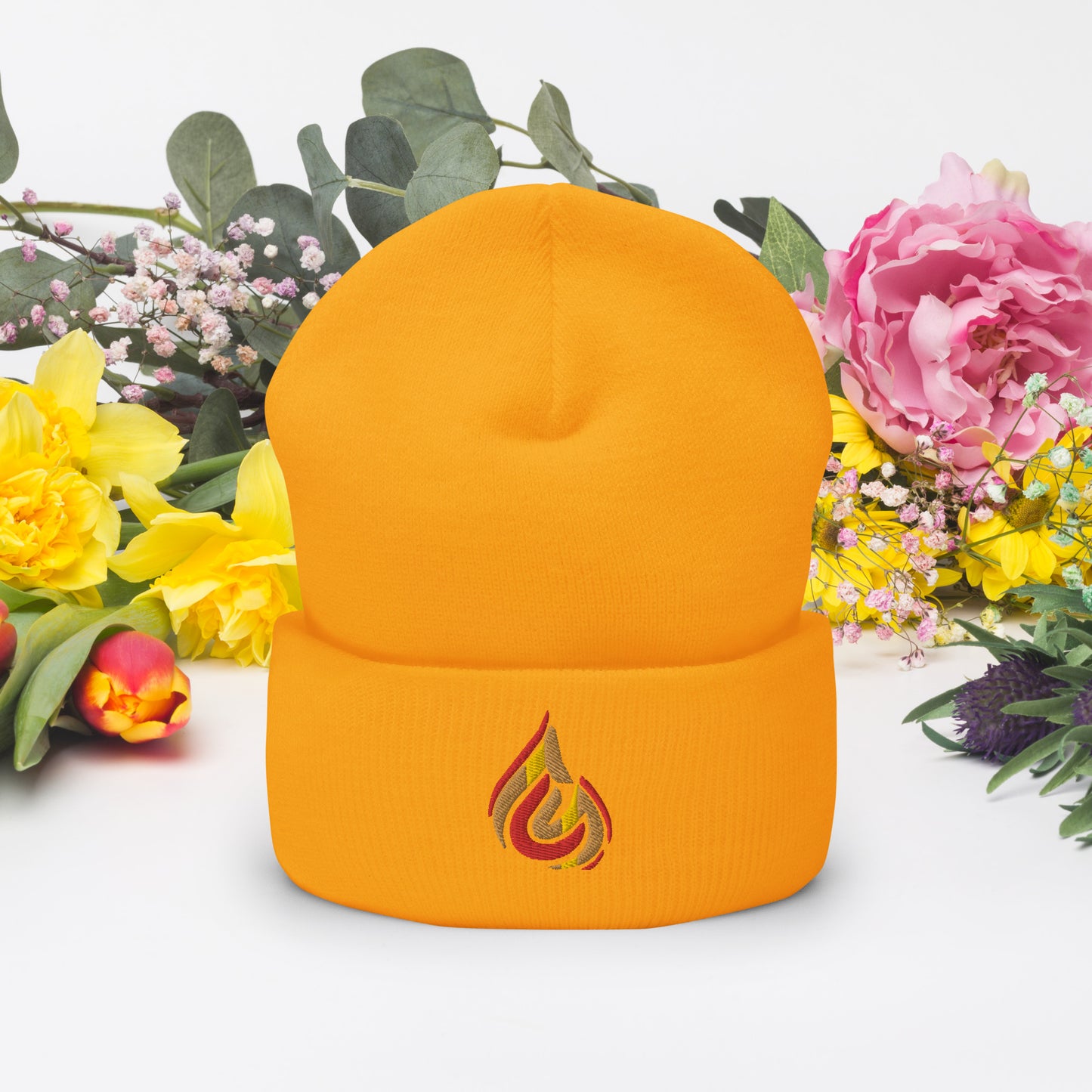 Fire Logo Cuffed Beanie